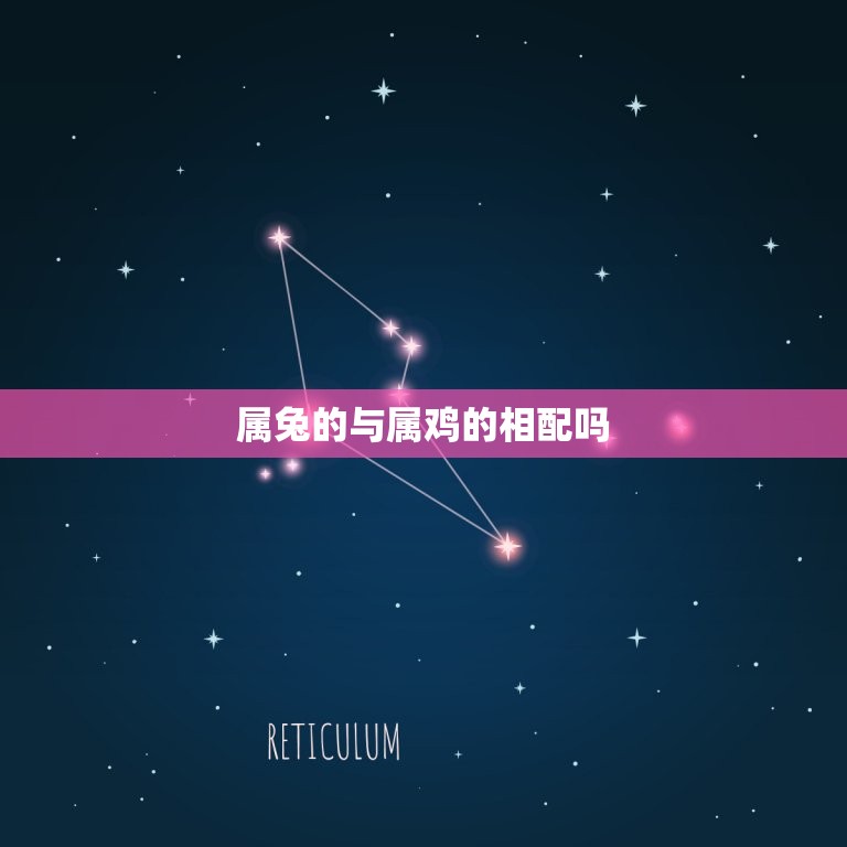 属兔的与属鸡的相配吗(兔鸡配对指南星座专家为你解读)  第3张