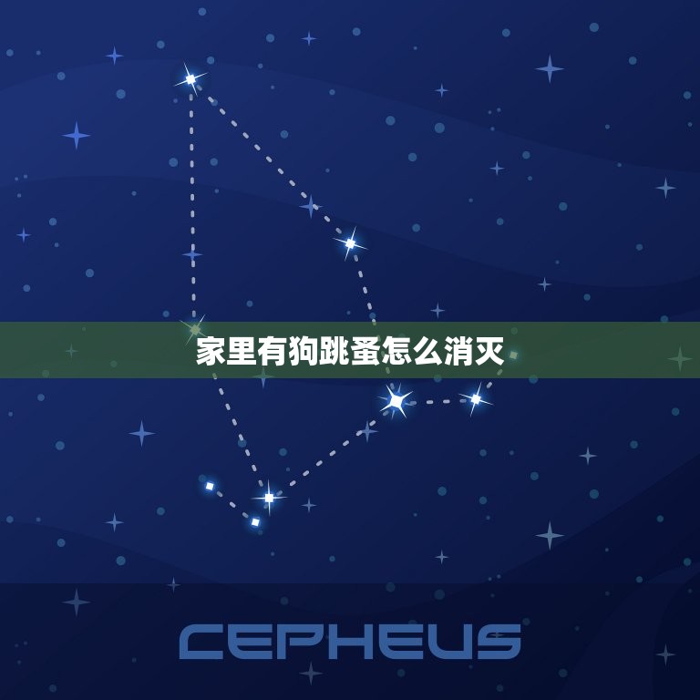 家里有狗跳蚤怎么消灭(快速有效的方法分享)  第3张