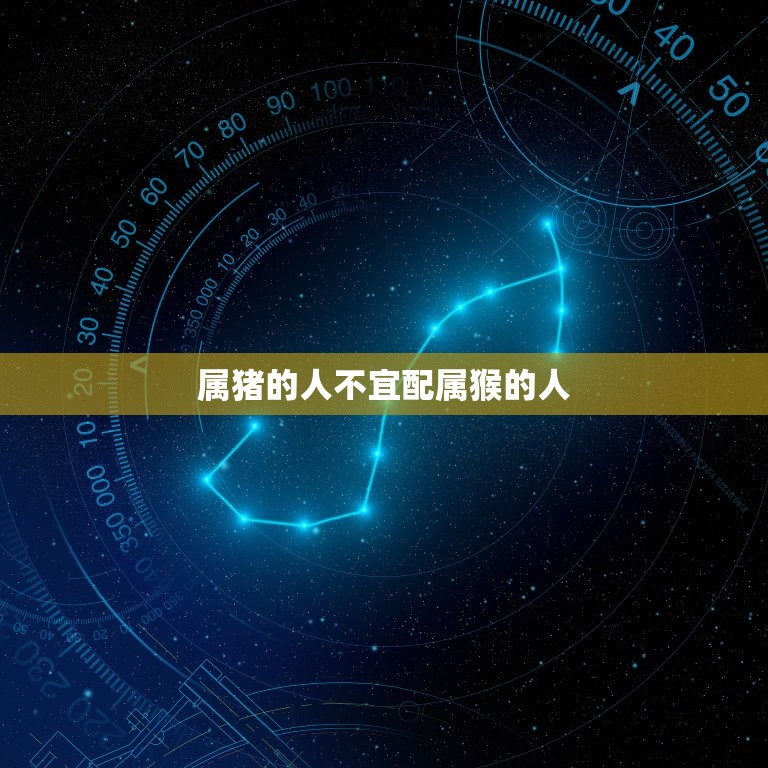 属猪的不宜配什么属相(猪猪不配看看这些就知道了)  第2张
