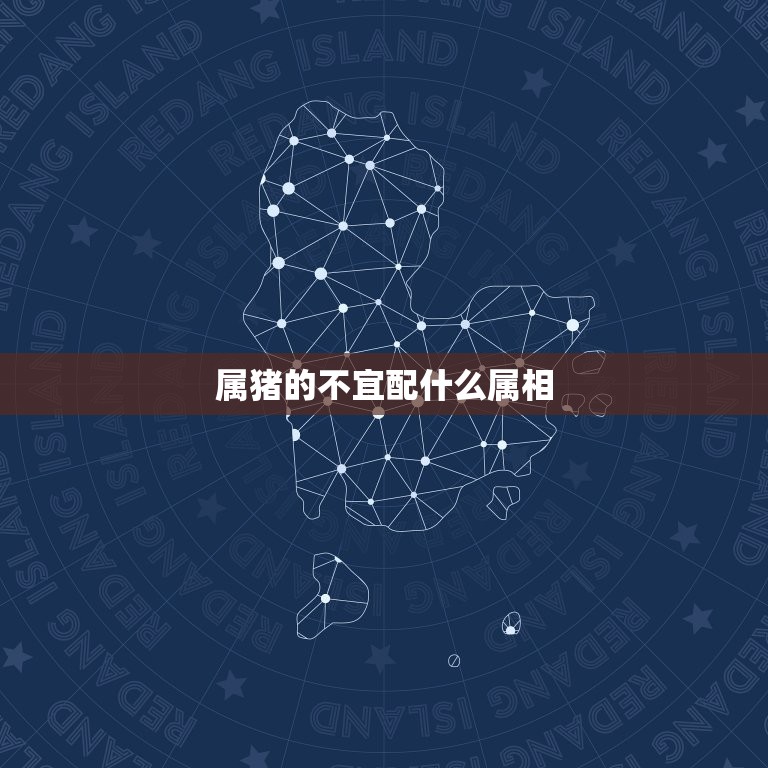 属猪的不宜配什么属相(猪猪不配看看这些就知道了)  第3张