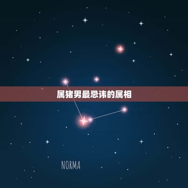 属猪男最忌讳什么属相(介绍猪男最不能的属相)  第2张