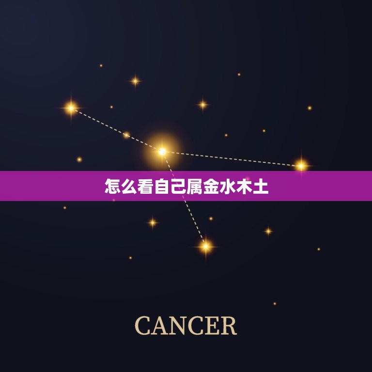 怎么看自己属金水木土(掌握生肖属相的方法)  第3张