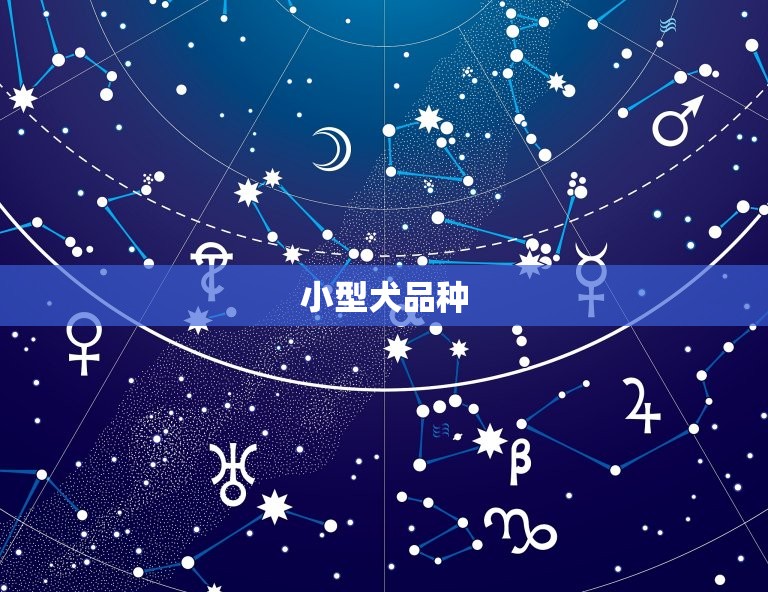 什么品种的狗养活(探寻最适合家庭的狗狗品种)