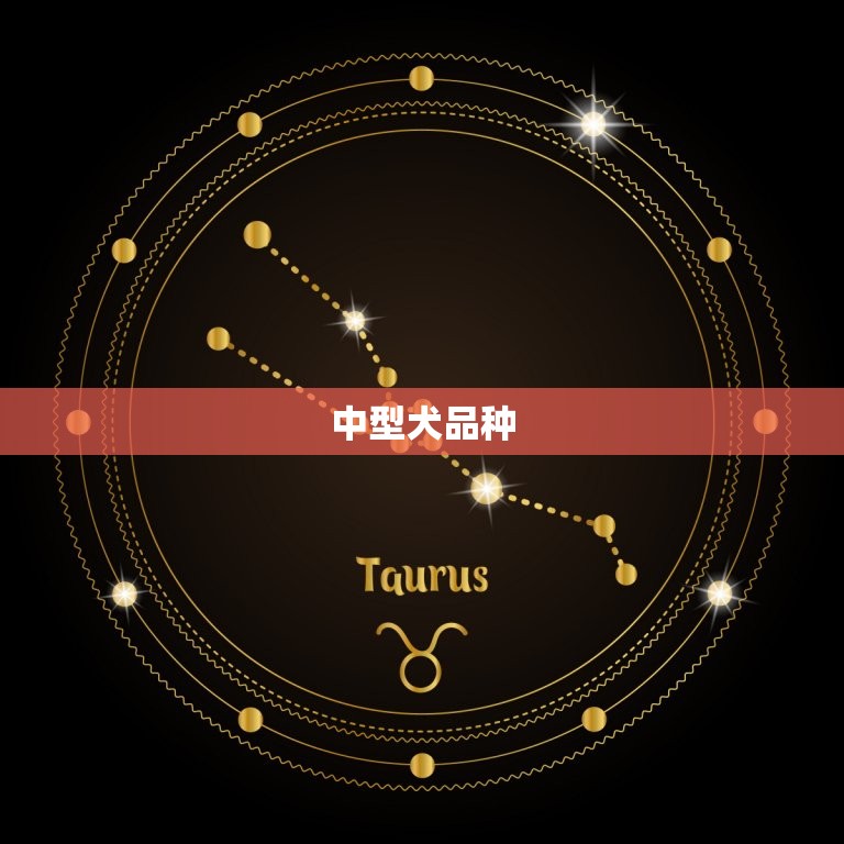 什么品种的狗养活(探寻最适合家庭的狗狗品种)  第2张