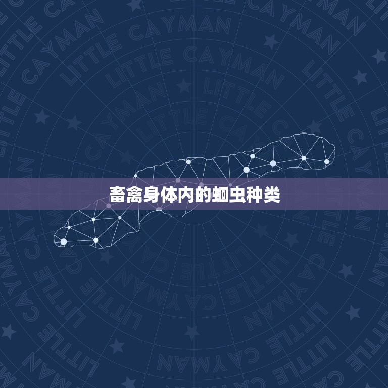 人和畜禽主要蛔虫分类(了解畜禽和人类身体内的蛔虫种类)  第2张