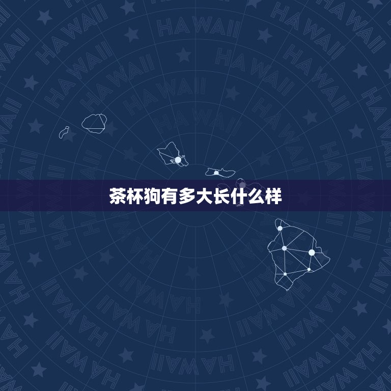 茶杯狗有多大长什么样(了解这种迷你型犬的特点和魅力)  第3张