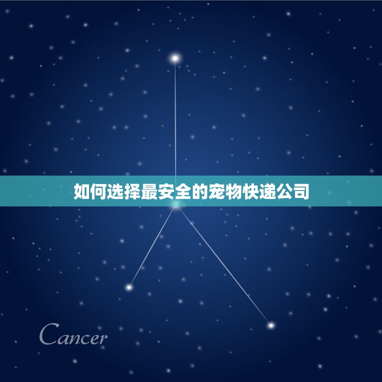 宠物狗发什么快递(如何选择最安全的宠物快递)  第2张