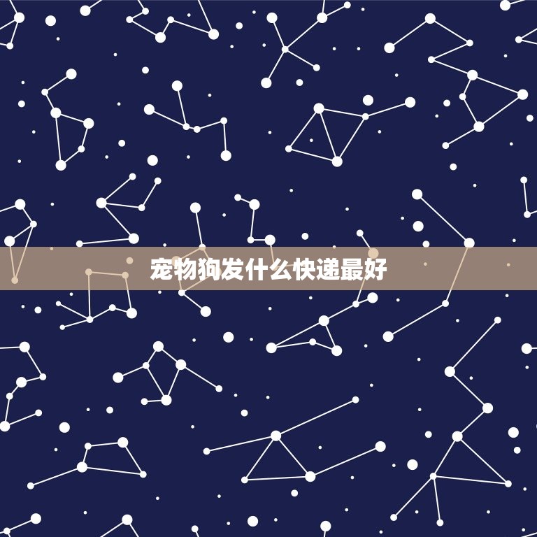 宠物狗发什么快递(如何选择最安全的宠物快递)  第3张