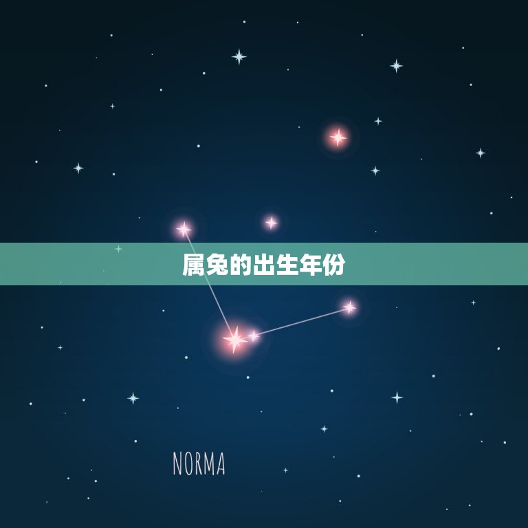 属兔的出生年月日查询(如何查询自己是否属兔)  第1张