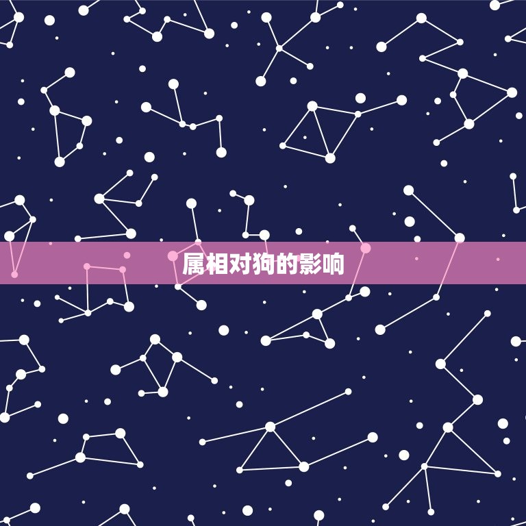狗的配偶属相有哪些好(寻找狗狗伴侣)