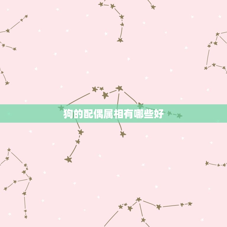 狗的配偶属相有哪些好(寻找狗狗伴侣)  第2张