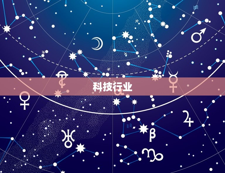 属鼠适合从事什么行业(职场发展指南)  第2张