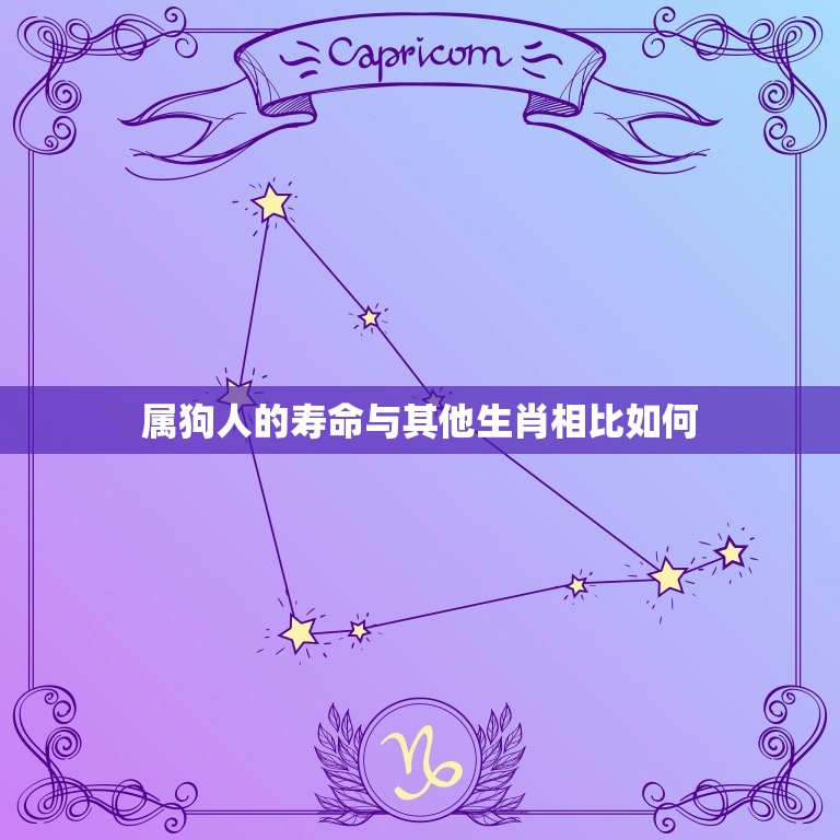 属狗人寿命能活多少岁(介绍狗年出生的人寿命长短之谜)