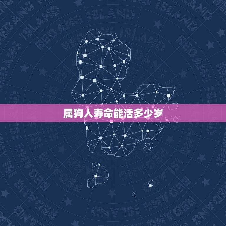 属狗人寿命能活多少岁(介绍狗年出生的人寿命长短之谜)  第3张