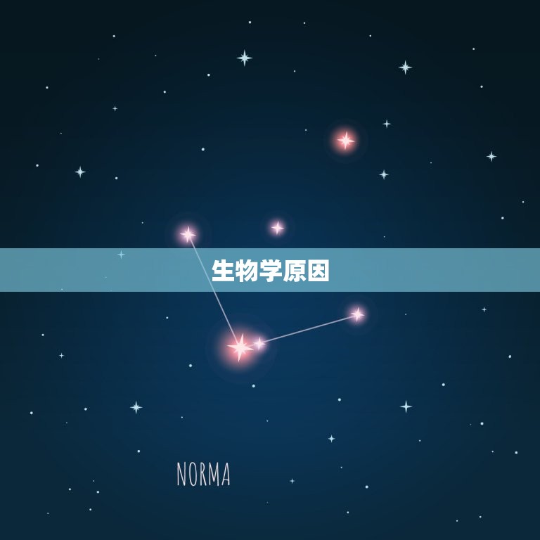 马和狗在一起对谁不利(为什么这两种动物不能共处)