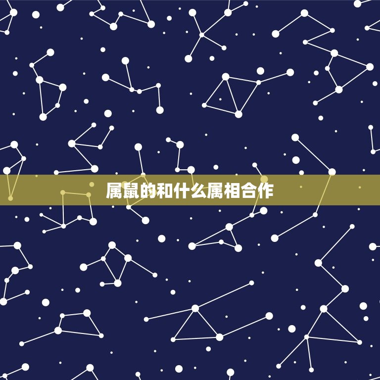 属鼠的和什么属相合作(搭档大介绍)  第3张