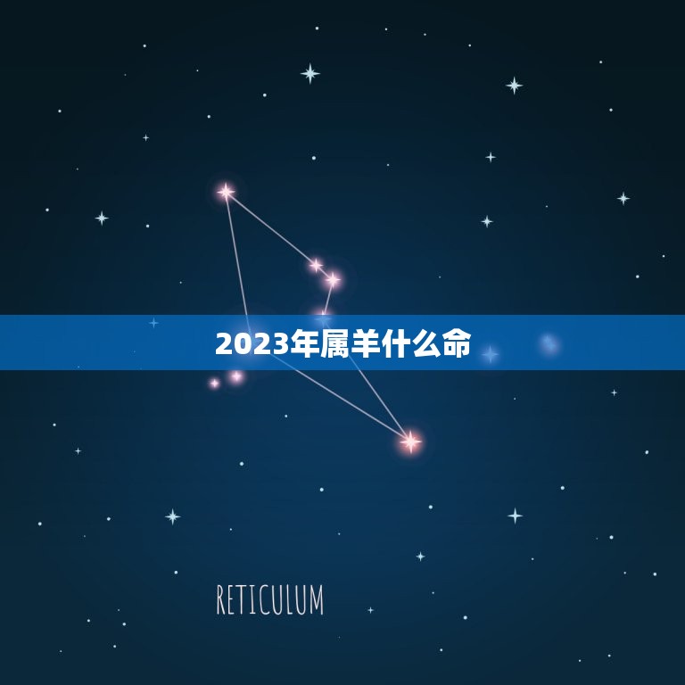 2023年属羊什么命(属羊人的运势如何)  第3张