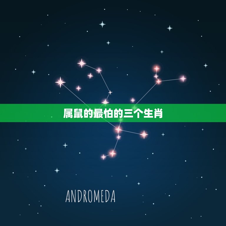 属鼠的最怕的三个生肖(介绍哪三个生肖最让属鼠感到不安)  第3张
