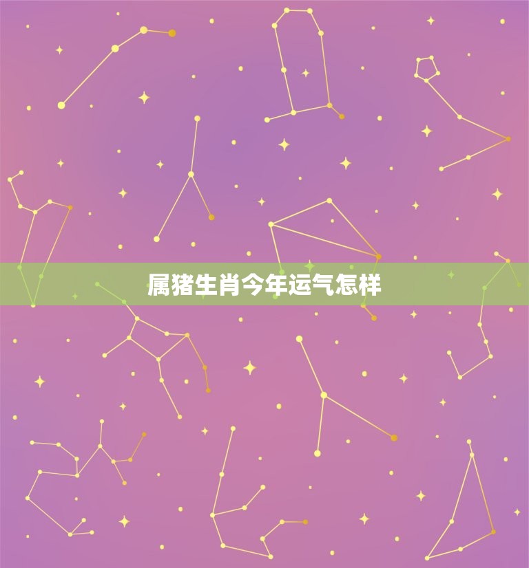 属猪生肖今年运气怎样(2023年猪年运势大介绍)  第3张