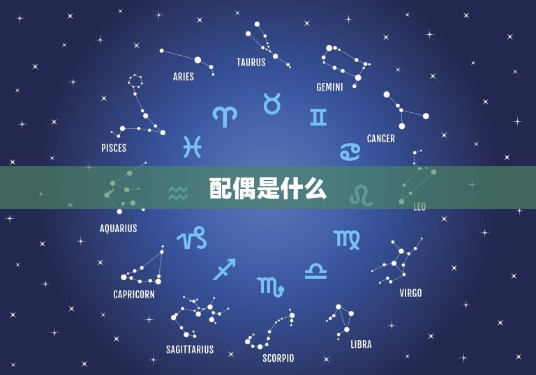 属虎的配偶是什么(寻找伴侣)  第2张