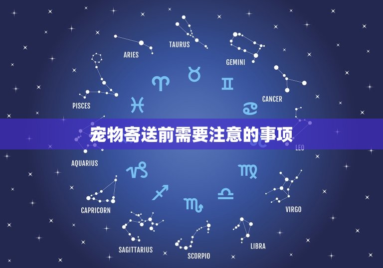 寄小狗用什么物流便宜(推荐几种经济实惠的寄宠物方式)