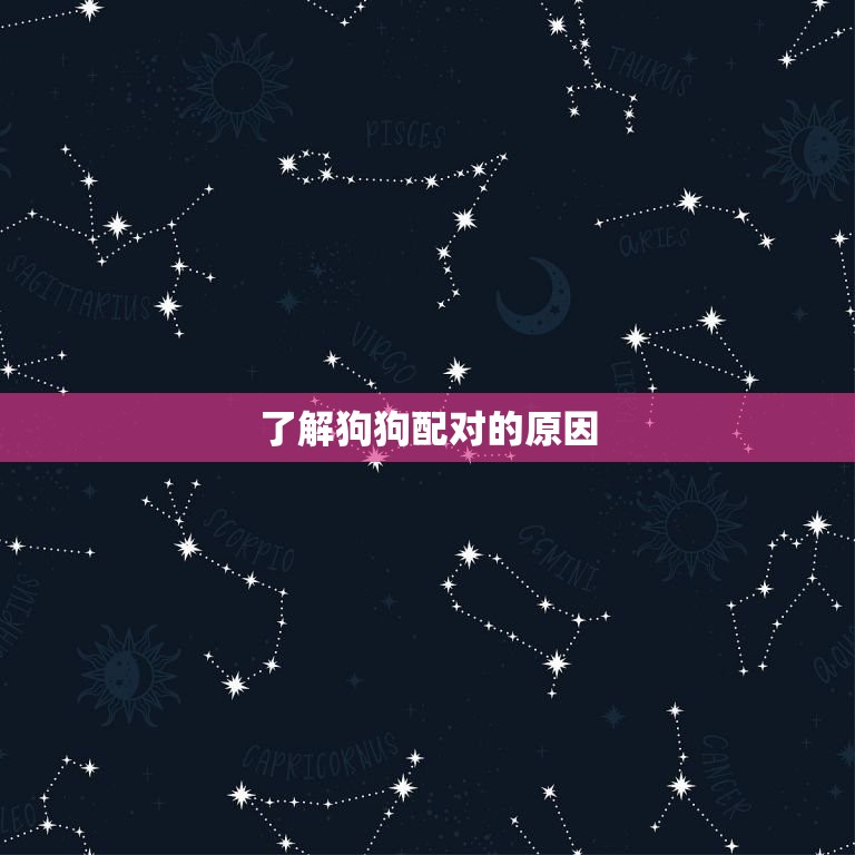 两只狗狗配对拉不出了(如何解决)