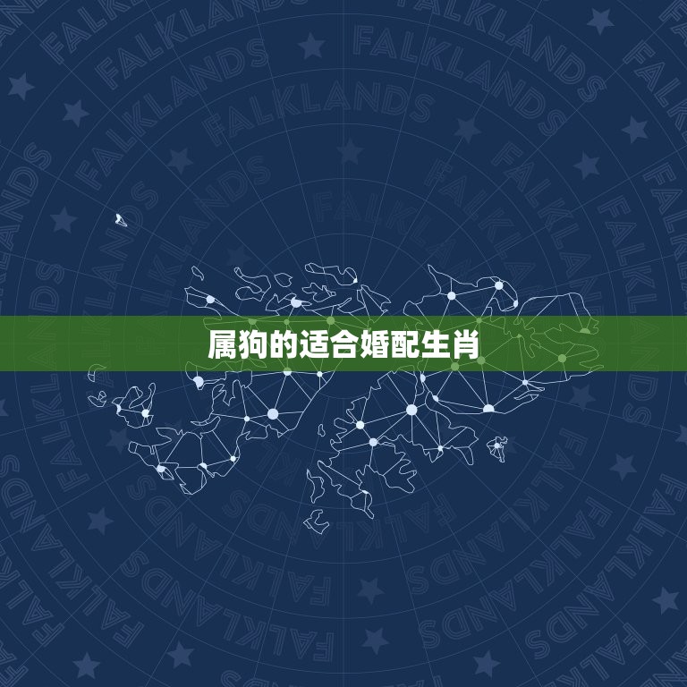 属狗的适合婚配生肖吗(介绍狗与哪些生肖配对)  第1张
