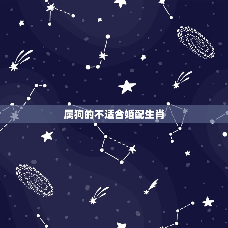 属狗的适合婚配生肖吗(介绍狗与哪些生肖配对)  第2张