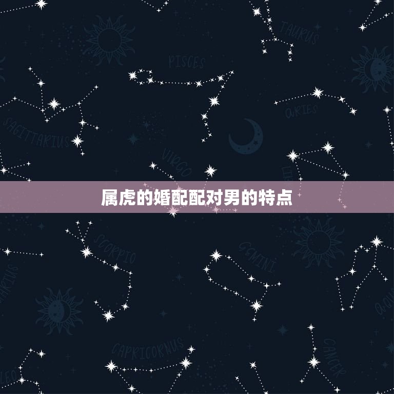 属虎的婚配配对男(如何选择最适合的伴侣)  第1张