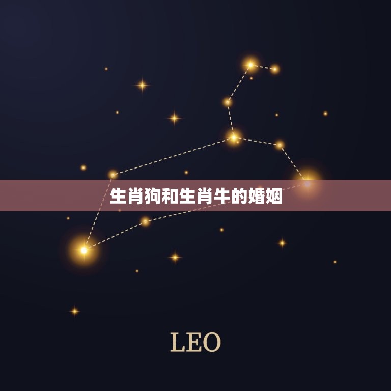 生肖狗和生肖牛的婚姻(如何克服性格区别)  第3张