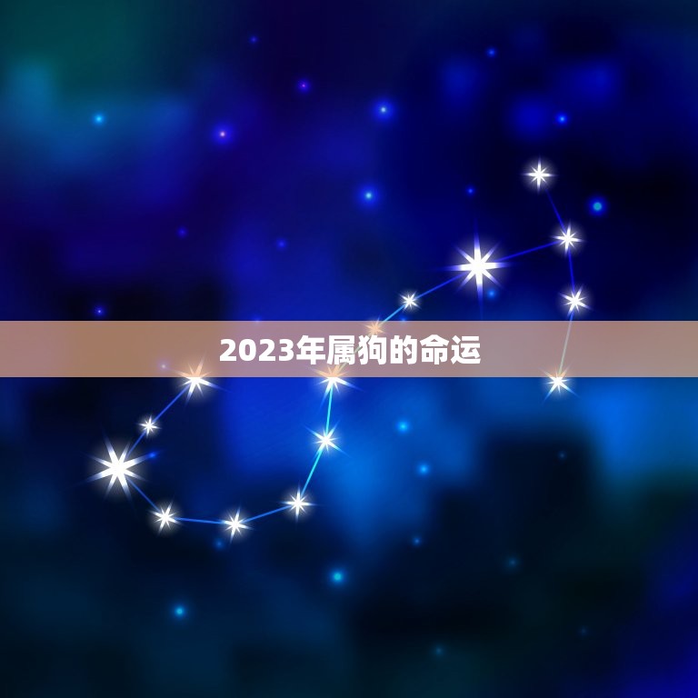 2023年属狗的命运(狗年大展宏图)  第3张