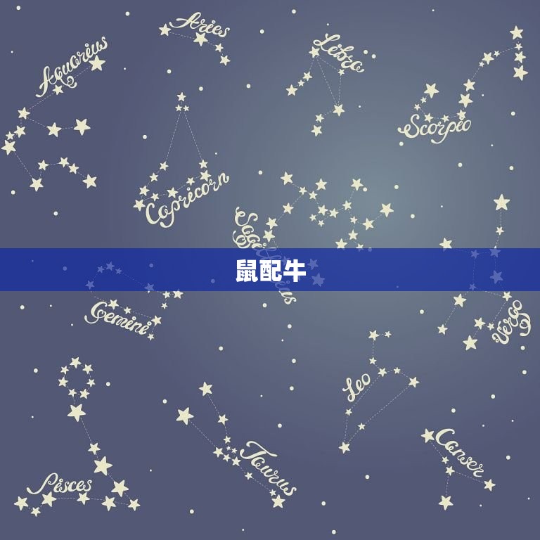 属相生肖配对姻缘查询(介绍十二生肖的姻缘奥秘)  第1张
