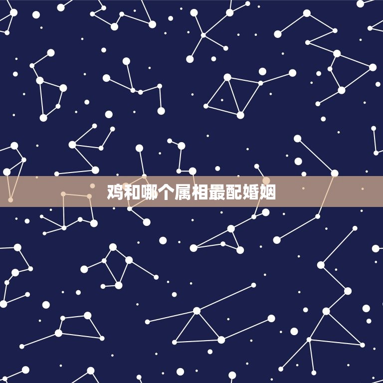 鸡和哪个属相最配婚姻(解密十二生肖中配对)  第3张