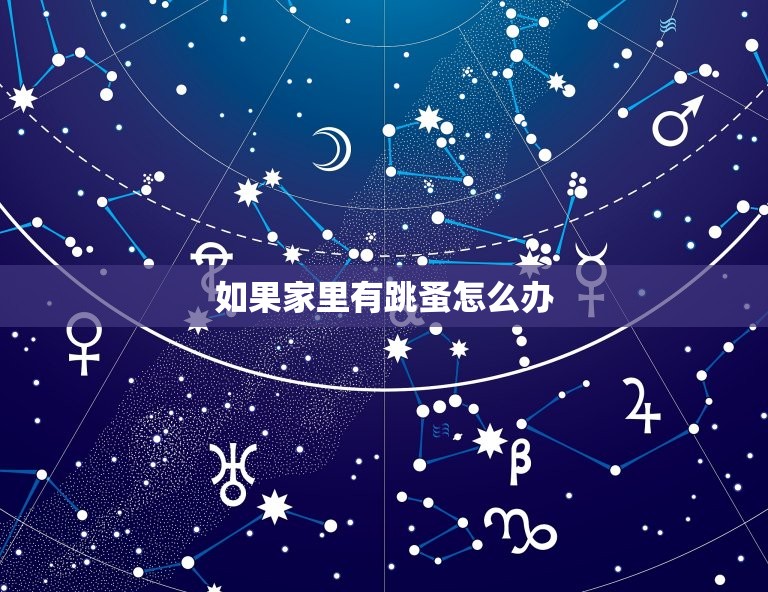 如果家里有跳蚤怎么办(快速有效的跳蚤防治方法)  第3张
