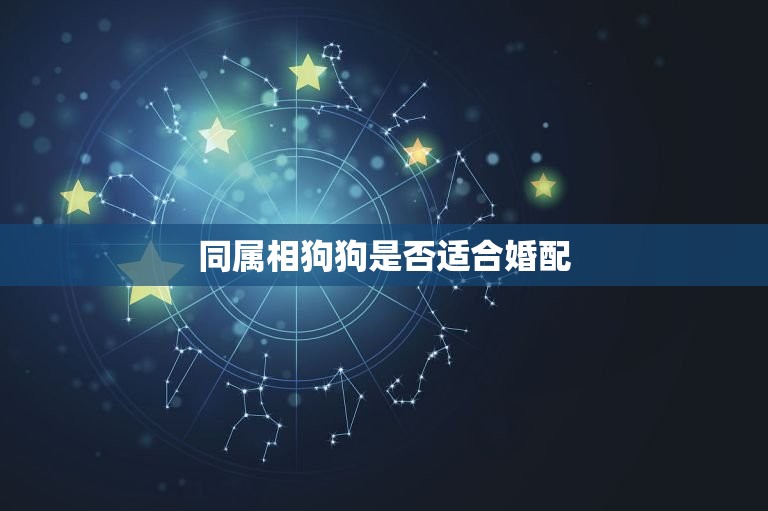 属相狗与狗婚配好不好(讨论是否适合让同属相的狗狗在一起)  第1张