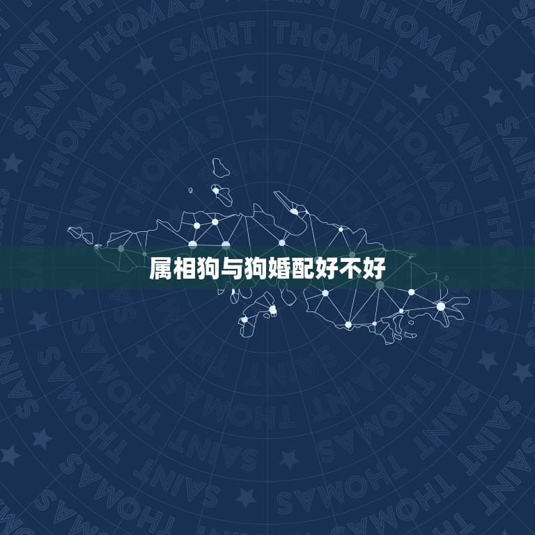 属相狗与狗婚配好不好(讨论是否适合让同属相的狗狗在一起)  第3张