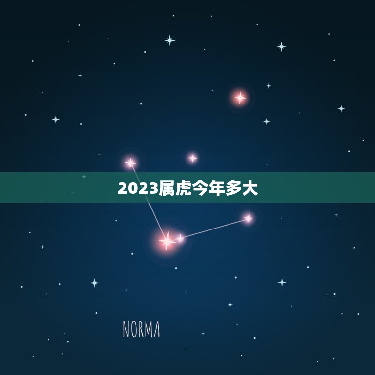 2023属虎今年多大(介绍属虎人的年龄与命运)  第3张