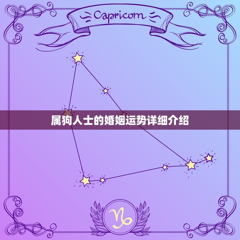 94的狗今年婚姻如何(2023年星象介绍婚姻运势大好还是波折重重)  第2张
