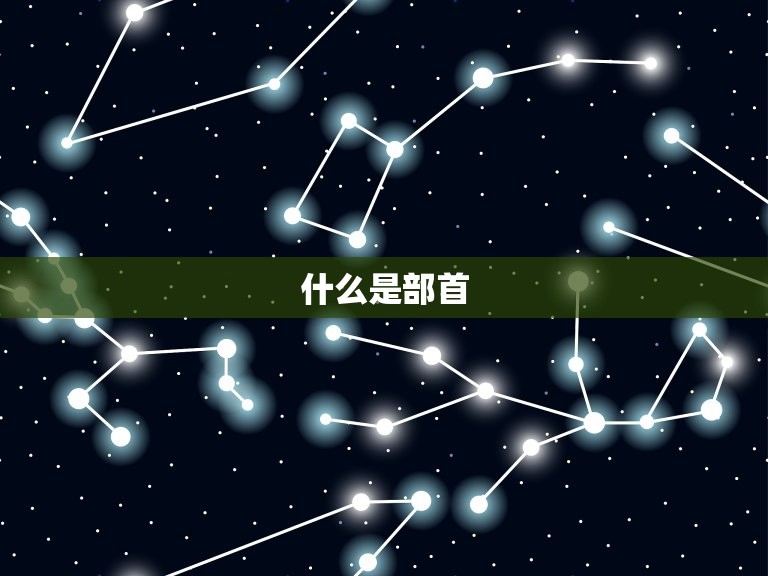 配查字典先查什么部首(字典学习必备方法)