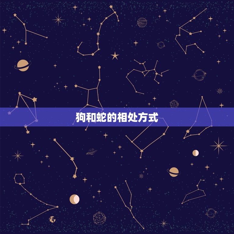 狗和蛇在一起对谁不利(危险的混养狗和蛇的相处之路)  第2张
