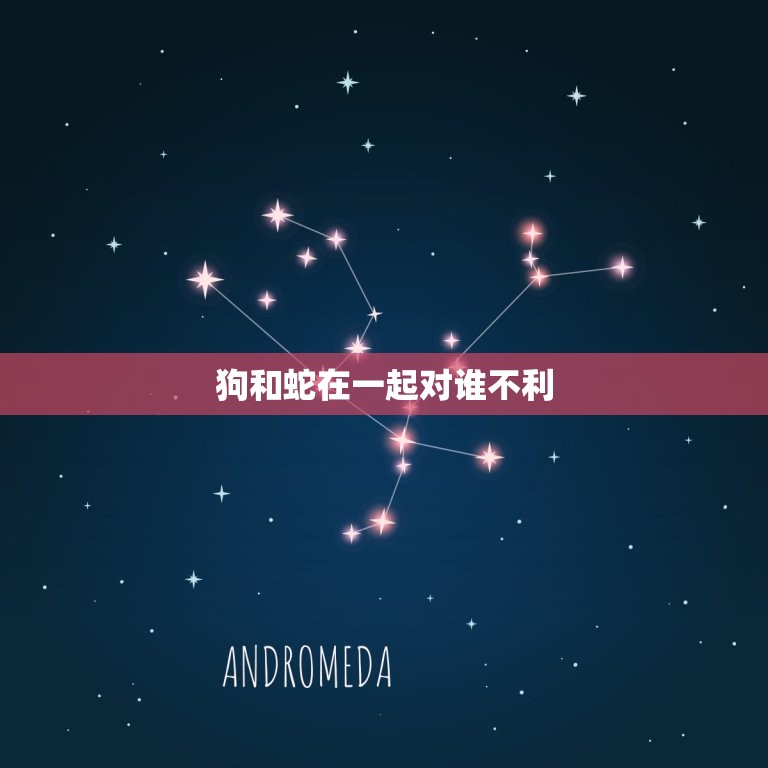 狗和蛇在一起对谁不利(危险的混养狗和蛇的相处之路)  第3张