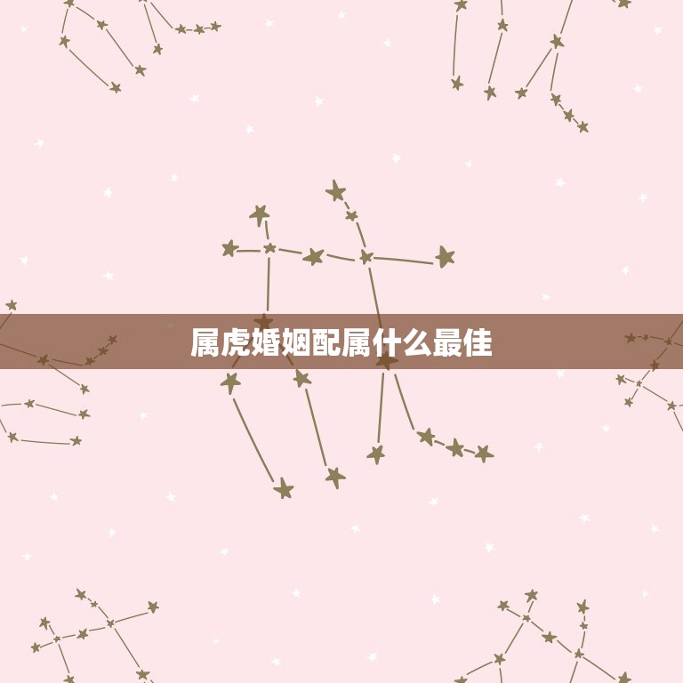 属虎婚姻配属什么(如何选择最适合的伴侣)  第3张