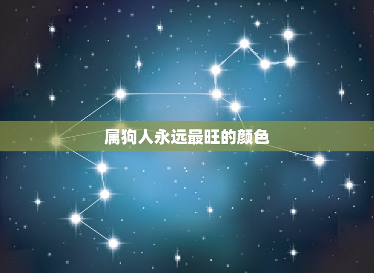 属狗人永远最旺的颜色(介绍究竟是哪种颜色)  第3张