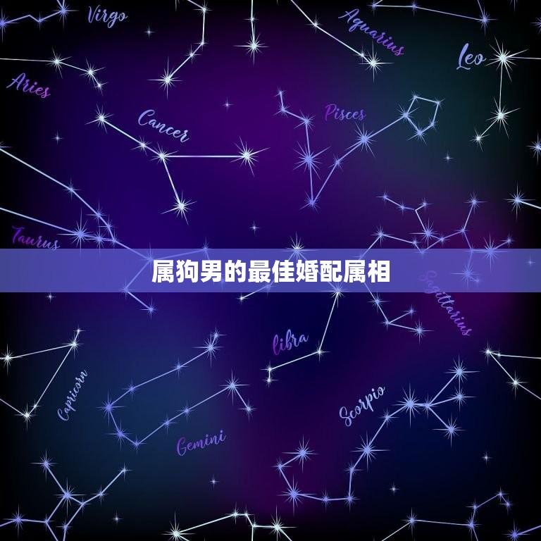 属狗男的婚配属相(介绍哪些属相最适合与狗男结婚)  第3张