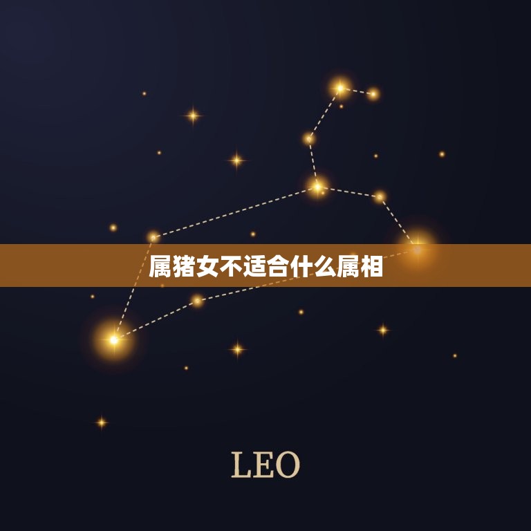 属猪女不适合什么属相(介绍十二生肖中最不合拍的组合)  第3张