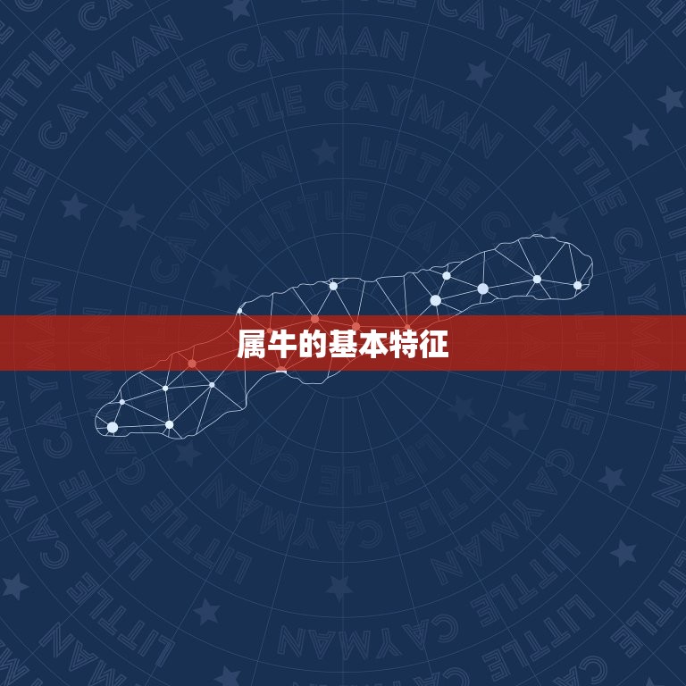 属牛的2013年多大(属牛人2013年的岁数是多少)  第1张