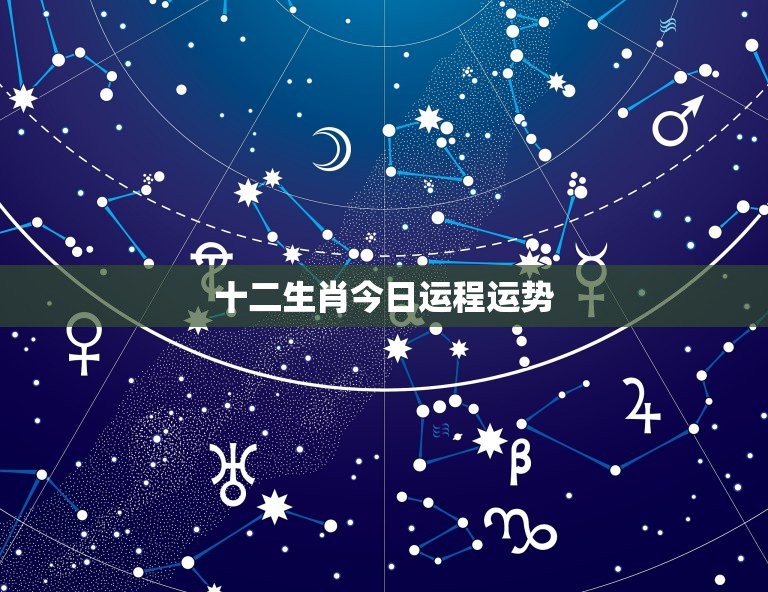 十二生肖今日运程运势(星象大变运势大介绍)  第3张