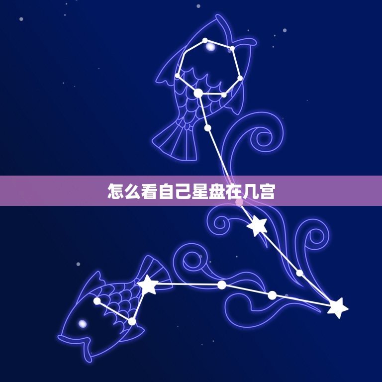 怎么看自己星盘在几宫(轻松掌握星座宫位分析方法)  第3张