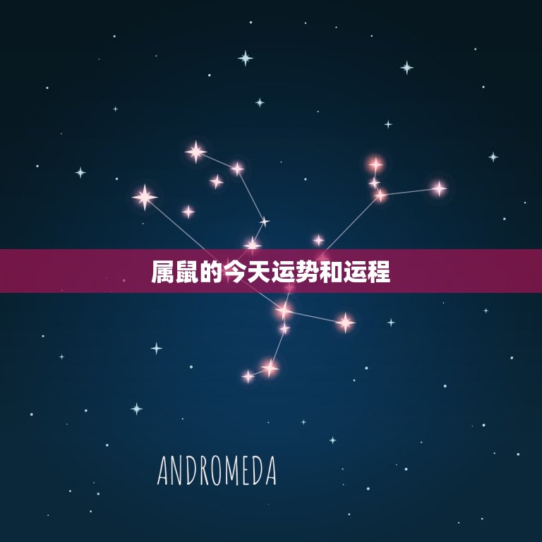 属鼠的今日运势和运程(如何把握好今日的机会)  第3张