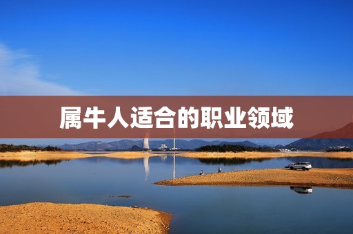 属牛人适合在哪里发展(职场发展指南)  第2张